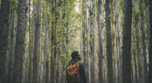 man in woodland